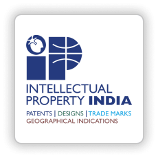 Techno-Legal Consulting Services for intellectual property